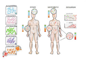 Trockene Haut und Neurodermitis führen zu einem veränderten Hautmikrobiom