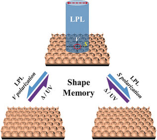 Pores with a Memory - Porous polymer films with shape memory