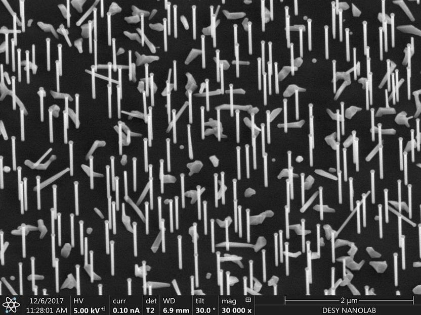 Forscher beobachten wachsende Nanodrähte live - Röntgenuntersuchung zeigt erstmals genaue Details des selbstkatalysierten Wachstums