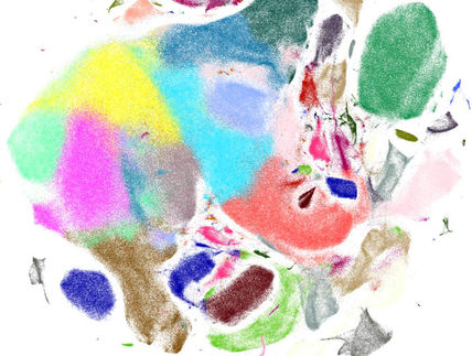 New software processes huge amounts of single-cell data