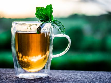 Nielsen: Die Deutschen lieben Kräutertee