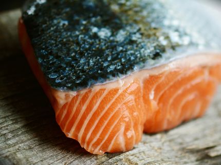 Grüne mahnen zu verantwortungsvollem Fischverzehr und Meeresschutz
