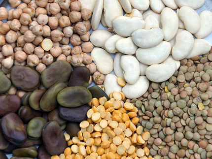 Legume products on the rise in Europe