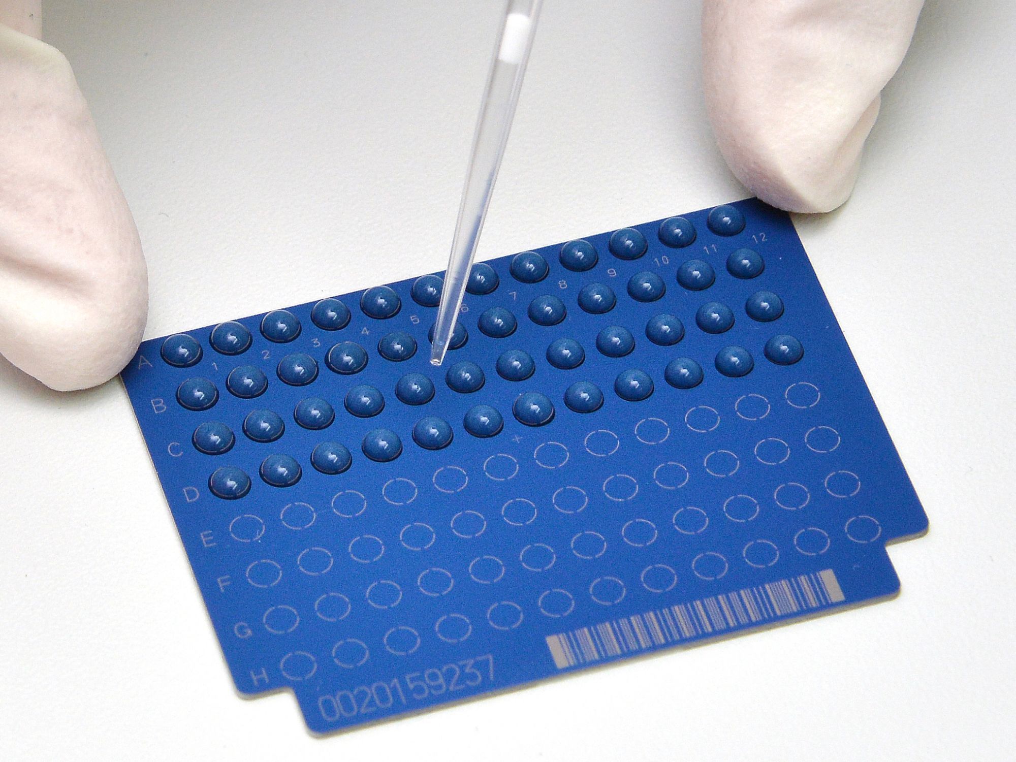 Novel Method For Rapid Detection Of Antibiotic Resistance