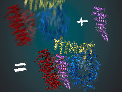 Decoding the structure of huntingtin