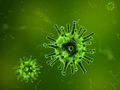 First line of defence against influenza further decoded