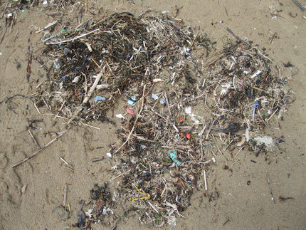 Birgt Mikroplastik zusätzliche Gefahren durch Besiedlung mit schädlichen Bakterien?