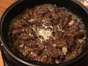 Are consumers ready to eat insects?