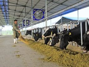 China’s increasing demand for milk will have far-reaching consequences for the world