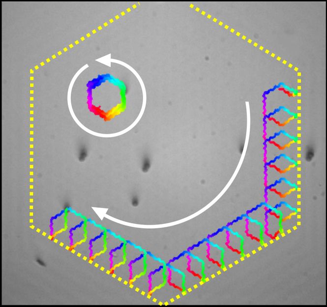 Lehrstuhl für Experimentalphysik V, Universität Bayreuth