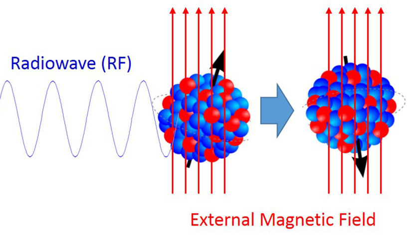 Lösung des Hyperfein-Rätsels rückt näher - Untersuchungen an Wismut-Atomkernen verbinden Experiment und Theorie