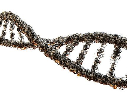 Newly discovered CRISPR mechanism may help prevent dangerous errors