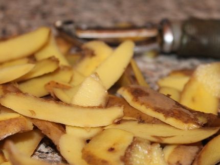 Vegetable peel chips on offer at waste-conscious hotel in Germany
