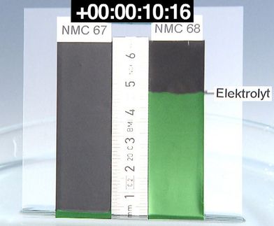 Batterieforschung: Bionik senkt Befüllzeit
