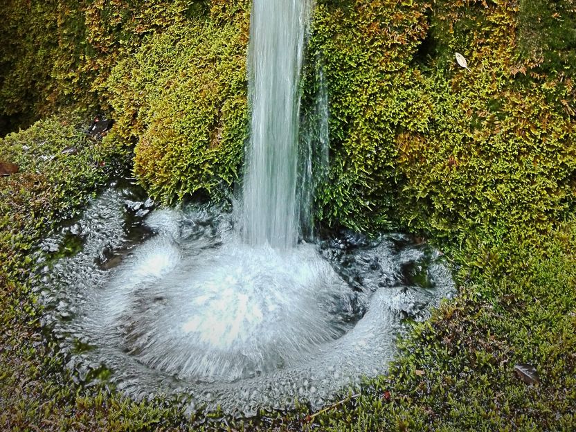 Gemeinsam für das Wasser - Bundesverband Naturkost Naturwaren und Qualitätsgemeinschaft Bio-Mineralwasser arbeiten zusammen