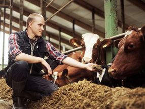 Valio milk production chain to discontinue use of soy