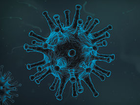 Wie Herpesviren das Immunsystem austricksen