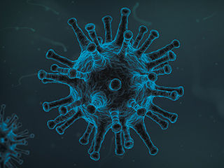 A new piece in the puzzle of how herpesviruses outwit the immune system