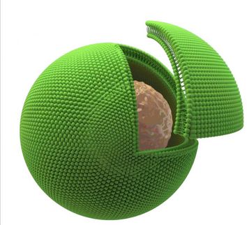 Artificial and biological cells work together as mini chemical factories