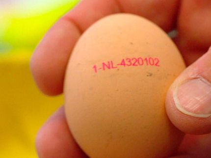 Gefälschte Eier – Wie uns die Industrie austrickst