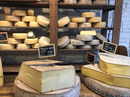Nielsen-Studie: Ihr Käse ist den Deutschen teuer