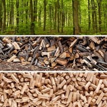 Wood pellets: Renewable, but not carbon neutral