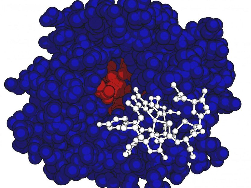 Amy Rosenzweig Lab, Northwestern University