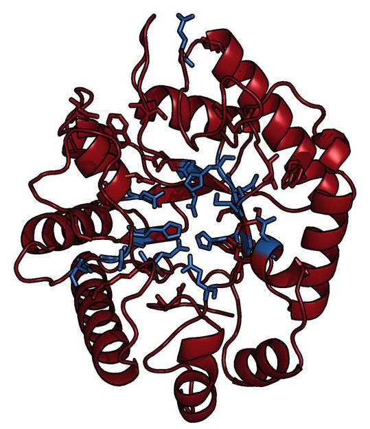 Amy Rosenzweig Lab, Northwestern University