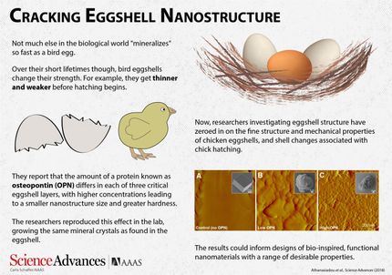 Cracking eggshell nanostructure