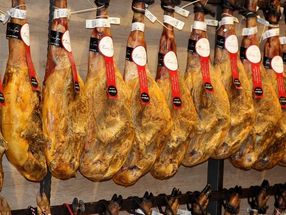 Skandal um Parmaschinken: Schweine unter erbärmlichen Bedingungen gehalten