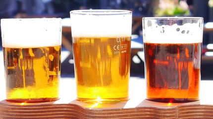 Brewing hoppy beer without the hops