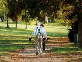 Physical activity and fitness – an effective approach against dementia?