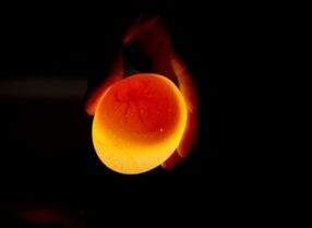 Dank der Spektroskopie lässt sich bereits am ersten Tag nach einer möglichen Befruchtung feststellen, ob im Ei eine Legehenne heranwächst oder ein männliches Tier.