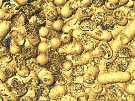 New 'NanoZymes' use light to kill bacteria