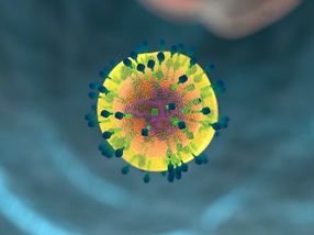 Efficient genetic modification of immune cells