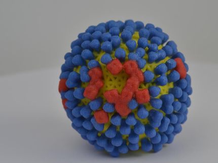Research offers clues for improved influenza vaccine design
