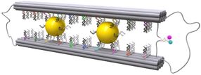 Nachahmung natürlicher Bewegungen im Nanobereich mit Hilfe der DNA-Origami Technik