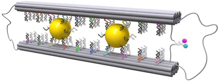 Max-Planck-Institut für Intelligente Systeme