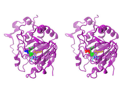 Maßgeschneiderte Enzyme dank quantenchemischer Simulation