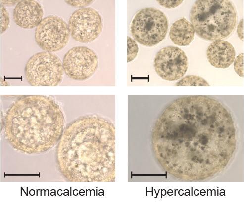 A. Tastanova et al., Science Translational Medicine (2018)