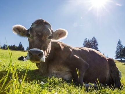 Die Migros geht neue Wege bei der Milchproduktion
