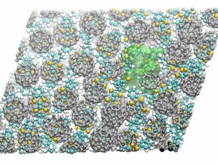 This 2-D nanosheet expands like a Grow Monster