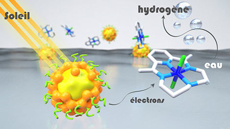 © Damien Jouvenot, Département de chimie moléculaire (CNRS/Université Grenoble Alpes)