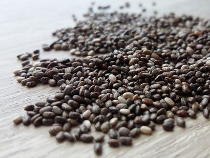 2 Mio. Euro für die Produktion von hochwertigen veganen Proteinen