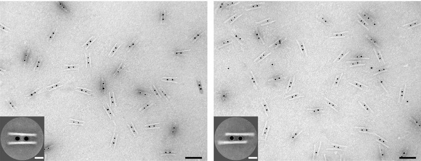 © MPI für Intelligente Systeme