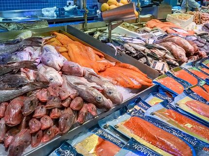 Eating more fish could prevent Parkinson's disease