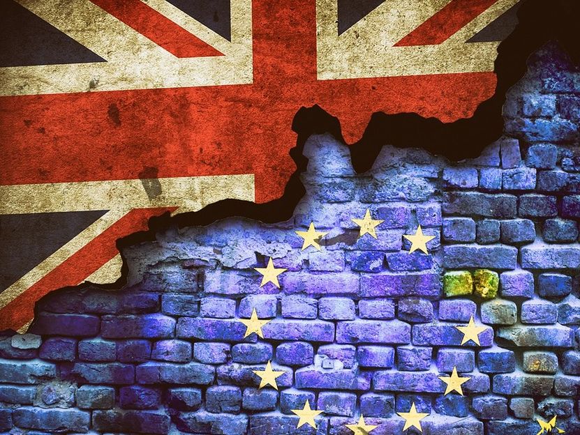 Weicher oder harter Brexit: Mögliche Auswirkungen auf den deutschen Agrarhandel