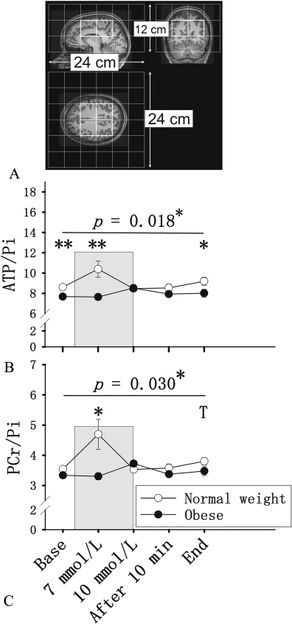 Wardzinski et al. 2018