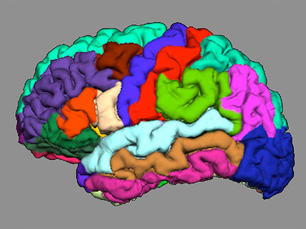Indications of Psychosis Appear in Cortical Folding