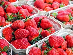 ÖKO-TEST Erdbeeren